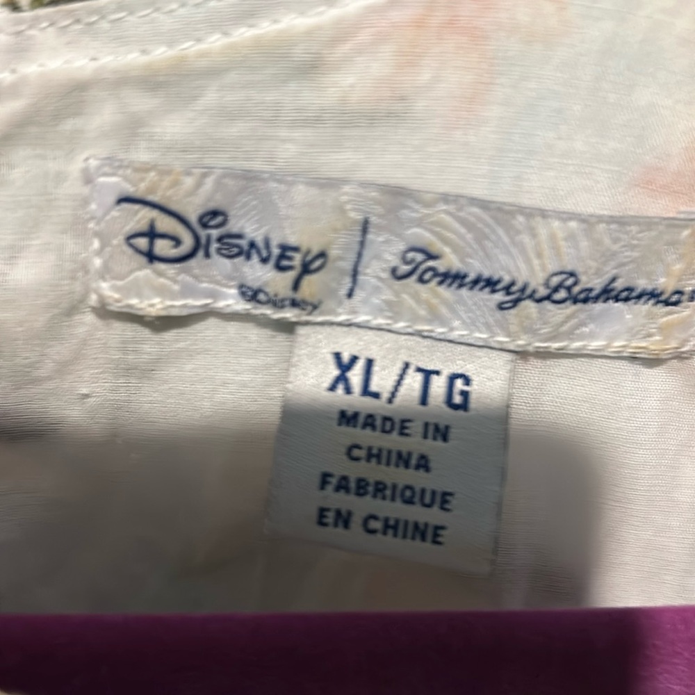 Women’s extra large Disney linen dress